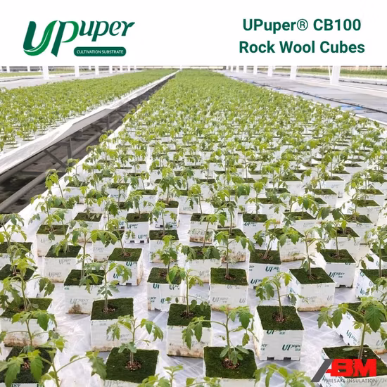 UPuper CB Growing Block 4*4 Inch Rose Plant Substrate Rock Wool Cubes for Seedling